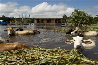 地球が変だ！　アマゾン水位、過去最高に　ブラジル、異常な干ばつも