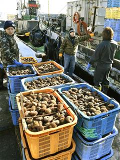 北方領土周辺海域で採れたウニの水揚げをする日本とロシアの水産関係者=16日午前、北海道根室市の花咲港 北方領土周辺海域で採れたウニの水揚げをする日本とロシアの水産関係者=16日午前、北海道根室市の花咲港