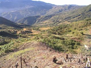 焼畑地の中に点在する棚田群。写真上部の町は、チン州の州都ハカ町=2005年12月、ミャンマー・フニャーロン村(筆者撮影) 焼畑地の中に点在する棚田群。写真上部の町は、チン州の州都ハカ町=2005年12月、ミャンマー・フニャーロン村(筆者撮影)