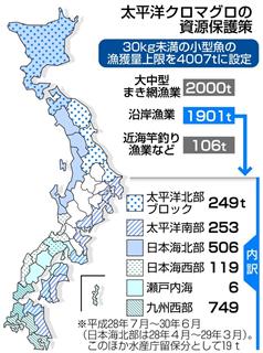 太平洋マグロの資源保護策 太平洋マグロの資源保護策