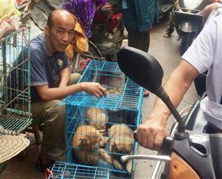 広西チワン族自治区玉林市の路上で犬を売る男性=6月21日(共同) 広西チワン族自治区玉林市の路上で犬を売る男性=6月21日(共同)