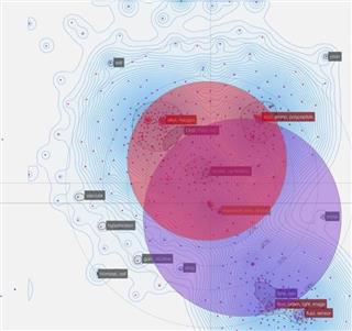 買収企業(大きい円)と被買収企業(小さい円)の研究領域を特許情報で解析した図。投資銀行の投資評価に使われ始めている 買収企業(大きい円)と被買収企業(小さい円)の研究領域を特許情報で解析した図。投資銀行の投資評価に使われ始めている