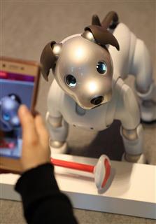 ソニー本社に展示されたaibo=11日、東京都港区(松本健吾撮影) ソニー本社に展示されたaibo=11日、東京都港区(松本健吾撮影)