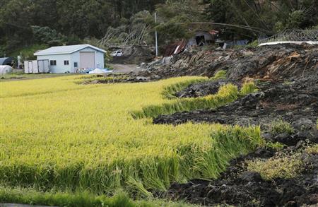 地震の影響で被害を受けた北海道厚真町の水田＝１２日