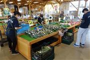 東松山市の直売所「いなほてらす」で池袋行の野菜を詰め込む職員の皆さん。プロジェクトに参加する生産者の商品を価格と個数を確認しながら箱詰めする（SankeiBiz編集部）