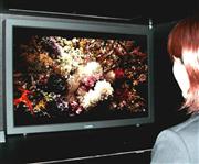 キヤノンが開発中の業務用３０型４Ｋディスプレー＝２２日、東京都港区