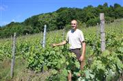「シャトー・ド・ヴォー」のブドウ畑を案内するオーナーのモロゼイさん＝フランス・メス市