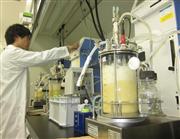 フィルムの主原料であるコラーゲン研究の蓄積によって開発された人工タンパク質「ＲＣＰ」を培養する研究員＝神奈川県開成町の富士フイルム先進研究所