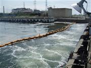 クラゲが襲来した関西電力姫路第１発電所（兵庫県）の取水口＝昨年７月ごろ