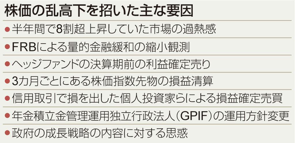 株価の乱高下を招いた主な要因