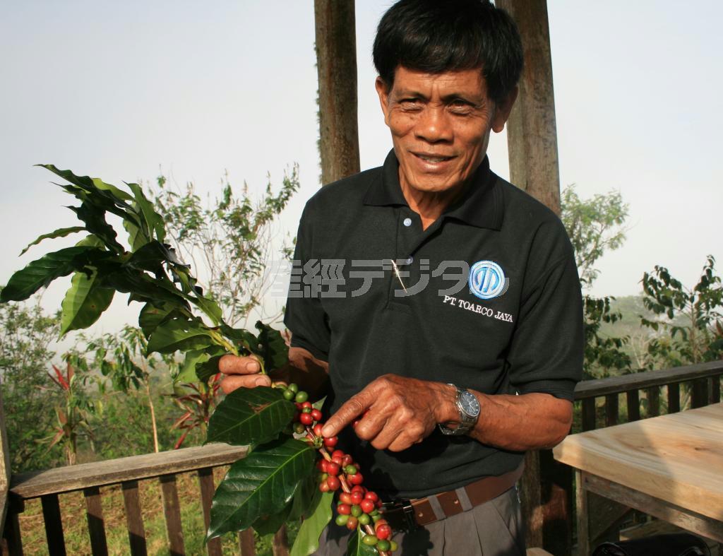 コーヒー生産の「すべてを経験した」と語るパダマラン農場のユスフ農場長。背景の雲海の中に農場が広がる＝インドネシア・スラウェシ島トラジャ県