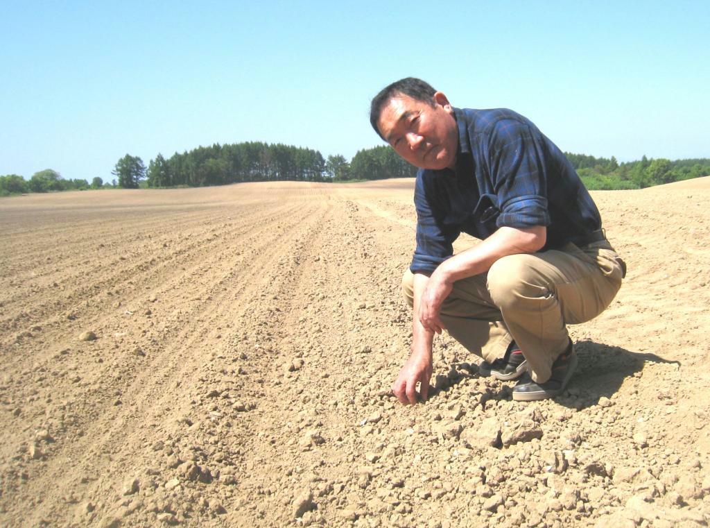 広大な岩木農場を巡回する黄金崎農場の佐々木君夫社長＝６月中旬、青森県弘前市
