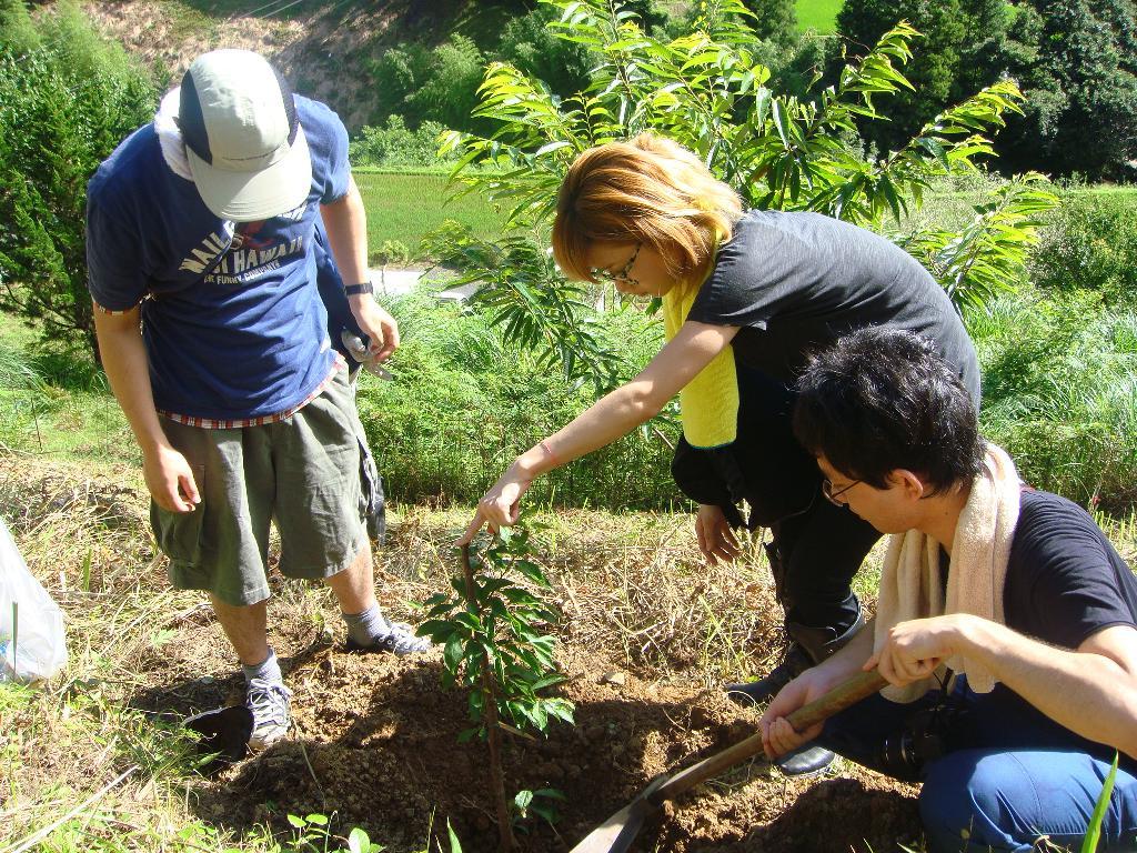 コクヨが森林保全活動を実施する「結の森」（高知県）で栗の木を植える若手社員（同社提供）