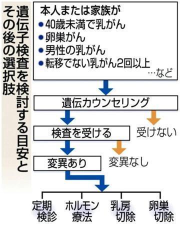 遺伝子検査を検討する目安とその後の選択肢＝２０１３年６月２３日現在