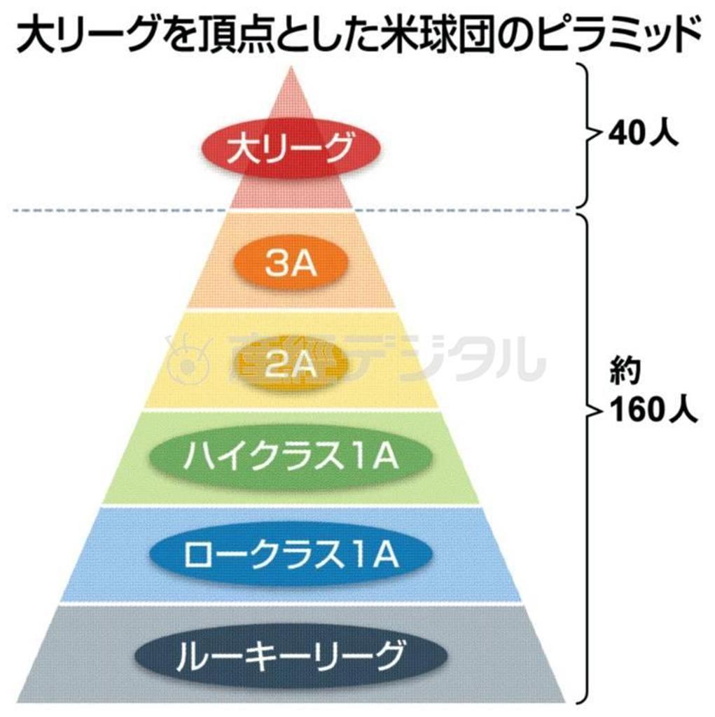 大リーグを頂点とした米球団のピラミッド。※（注）２０１３年１１月２７日現在、３Ａからルーキー・リーグまで８つの下部組織があり、約２００人の選手が在籍している。