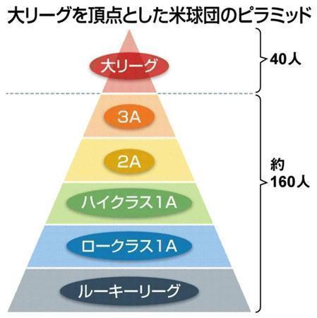 大リーグを頂点とした米球団のピラミッド。※（注）２０１３年１１月２７日現在、３Ａからルーキー・リーグまで８つの下部組織があり、約２００人の選手が在籍している。