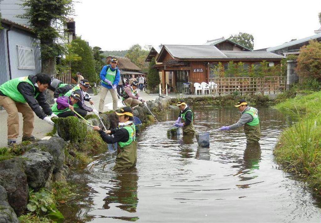 菖蒲池や鏡池の藻類の除去