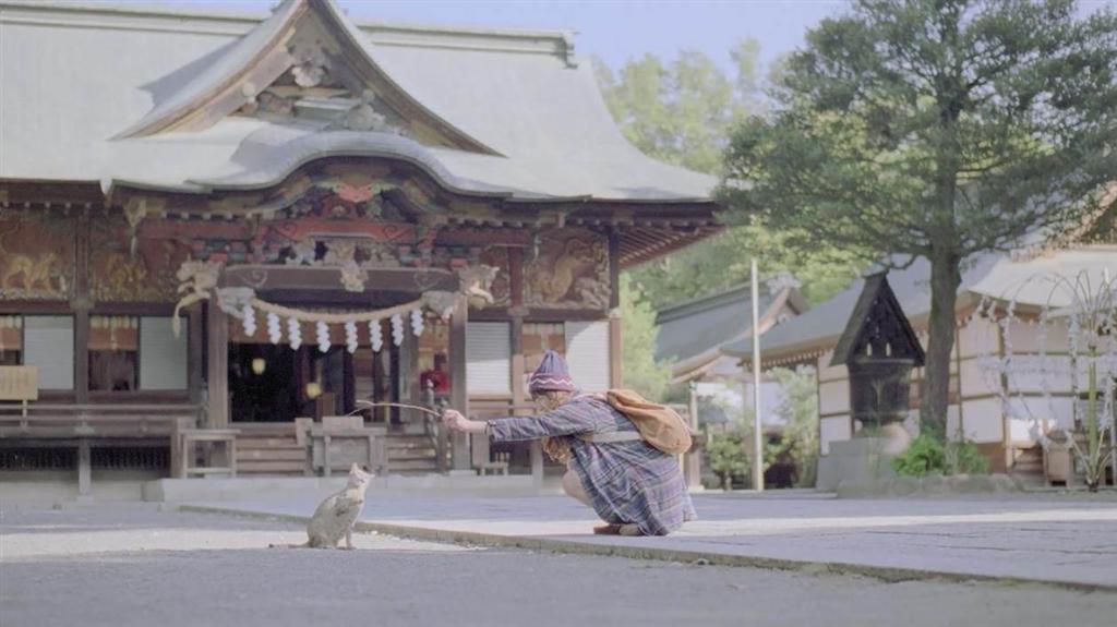 子猫と遊ぶ吉高由里子さん