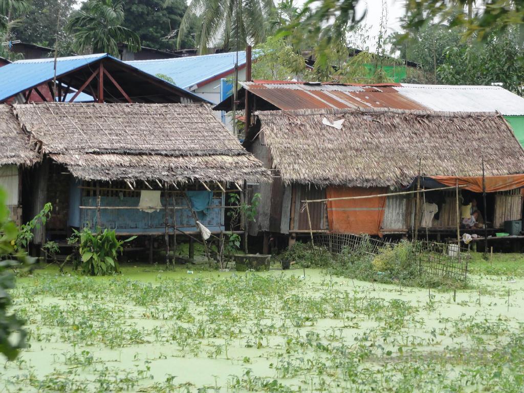 ミャンマーのヤンゴン環状線の電車から見える、１階部分が水没した高床式の住宅。よどんだ水はボウフラの発生源で、蚊が媒介するデング熱などの感染症が心配される（勝田吉彰教授提供）