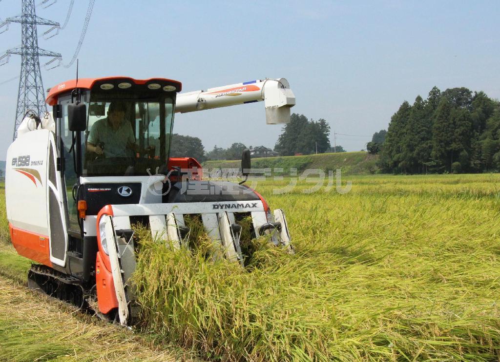 ２０１３年産米の稲刈り。政府は減反政策の見直しへち大きくかじを切った＝８月３０日、栃木県大田原市（伊澤利幸撮影）