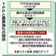 ＴＰＰ（環太平洋戦略的経済連携協定）農業強化の関係＝２０１３年１０月２７日現在