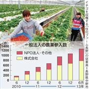 一般法人の農業参入数