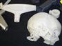 レッドアイ社が３Ｄプリンターで製造したサンプル。右は頭蓋骨の模型