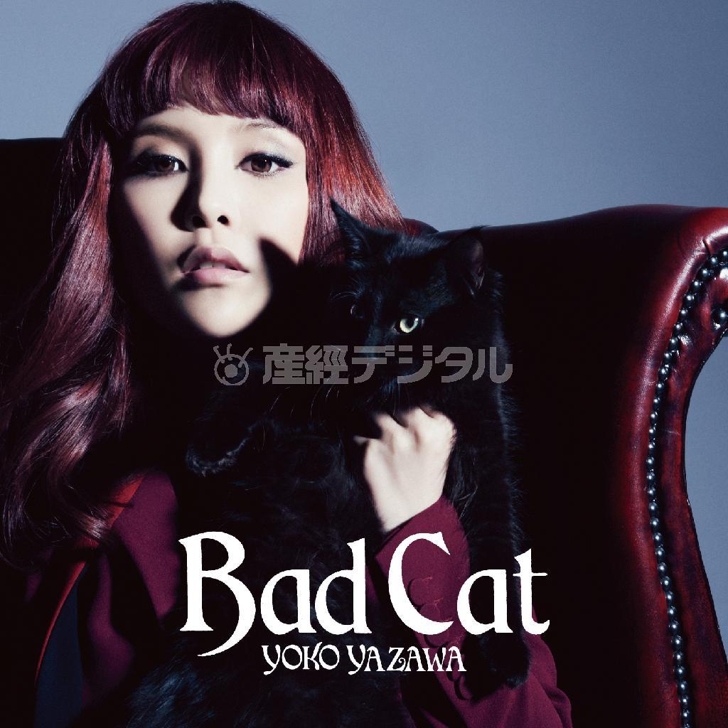 矢沢洋子「ＢＡＤ＿ＣＡＴ」。発売中（提供写真）