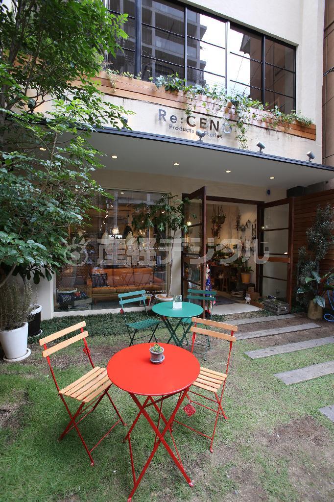 緑あふれる外観。京都市の中心部では珍しいかも