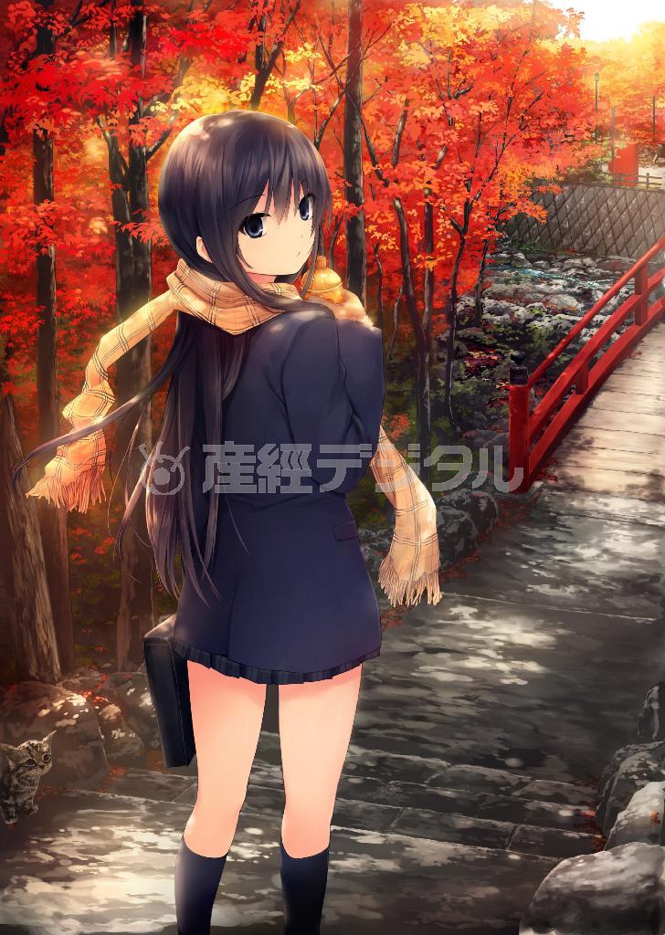 珈琲貴族「晩秋の通学路」。（Ｃ）産経新聞社／珈琲貴族