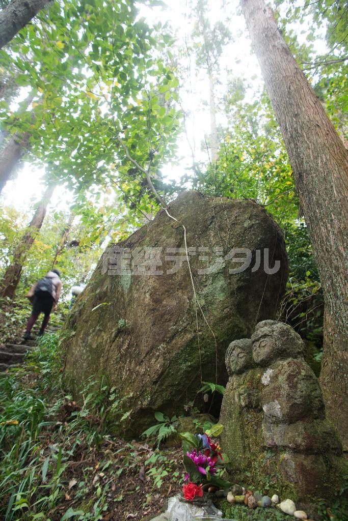大きな岩の横に肩を寄せるようにたたずむ道祖神。木漏れ日を背に石段の山道を上がる＝１１月９日、神奈川県鎌倉市の衣針山山頂に近い平成巡礼道（渡辺照明撮影）