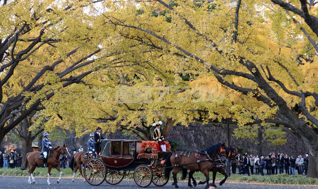 信任状捧呈（ほうてい）式を終え、皇居を後にするキャロライン・ケネディ新駐日米大使を乗せた馬車＝１１月１９日、東京都千代田区の和田倉門交差点（鴨川一也撮影）