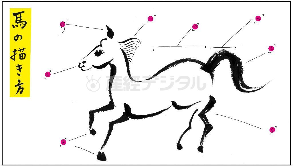 馬の描き方（イラスト：平松昭子さん提供）。ｈｔｔｐ：／／ｋｉｍｏｎｏｓｎａｃｋ．ｂｌｏｇｓｐｏｔ．ｃｏｍ