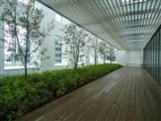 最上階の１１階は屋根面の一部を緑化し、日射負荷の低減を図った