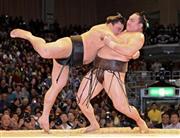 よりきりで白鵬（右）を破った日馬富士（はるまふじ）＝２０１３年１１月２４日、福岡県福岡市博多区・福岡国際センター（安部光翁撮影）