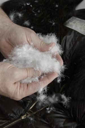 ヘルノのダウンコートに使用されている最高級のダウン（水鳥の胸毛）