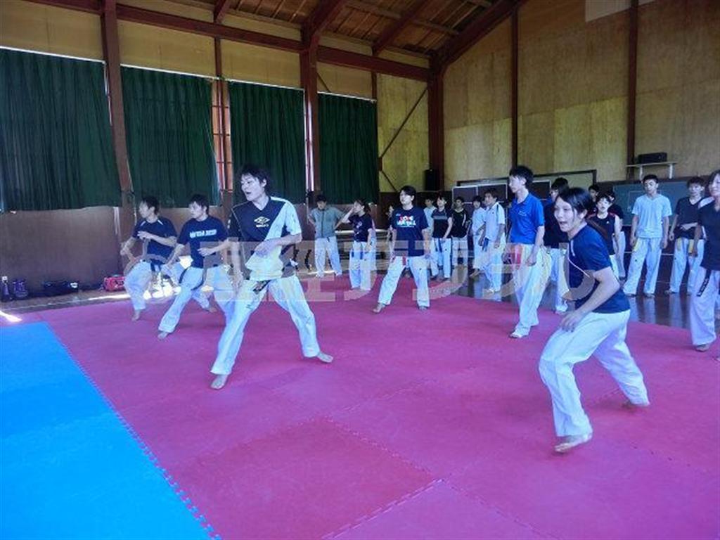明大テコンドー部の練習風景＝２０１３（平成２５）年８月１４日（明治大学＿有志学生記者、安藤大貴撮影）