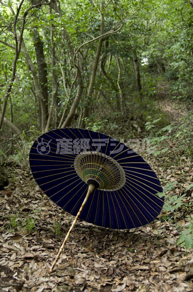 不動岩山頂に至るまでの道で、山鹿番傘を撮影＝２０１３年８月７日、熊本県山鹿市（井浦新さん撮影）