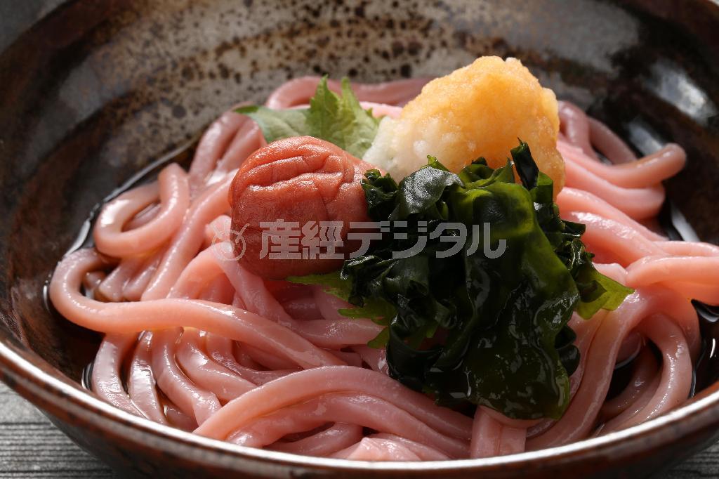お店で人気ナンバーワンを誇る和歌山の梅うどん