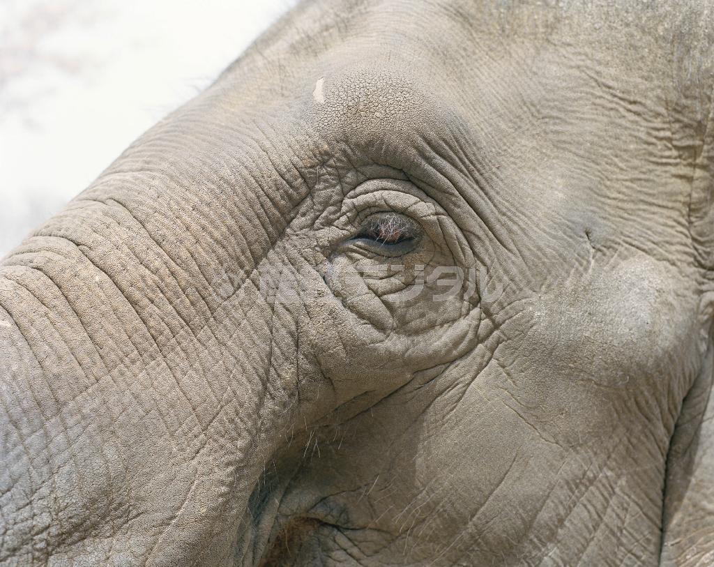「宝箱＿齋藤陽道＿写真展」＿＿「せかいさがし」シリーズから（齋藤陽道さん撮影、提供写真）