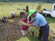 棚田での収穫作業。減反制度の廃止で日本の農業改革が進むか注目される＝山形県朝日町（同町椹平棚田保全会提供）
