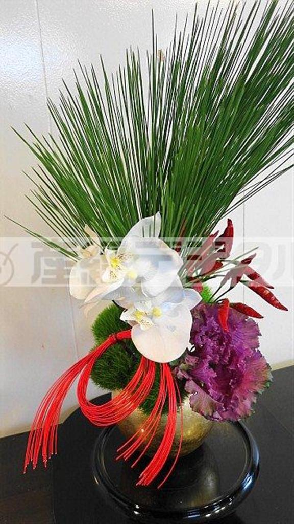 大王松で新春飾る（Ｆｉｎｉｓｈ！、提供写真）