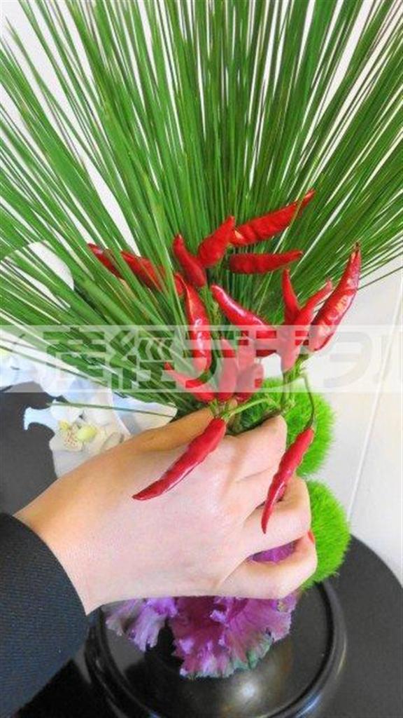 （手順３）白の胡蝶蘭を、アレンジの正面側で松の手前に挿します。松の後ろ側には、赤い唐辛子をあしらいます（提供写真）