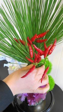 （手順３）白の胡蝶蘭を、アレンジの正面側で松の手前に挿します。松の後ろ側には、赤い唐辛子をあしらいます（提供写真）