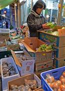 天候不順などで野菜の小売価格が高騰し、スーパーや青果店の値段がなかなか下がらない＝東京都内の青果店（大山実撮影）