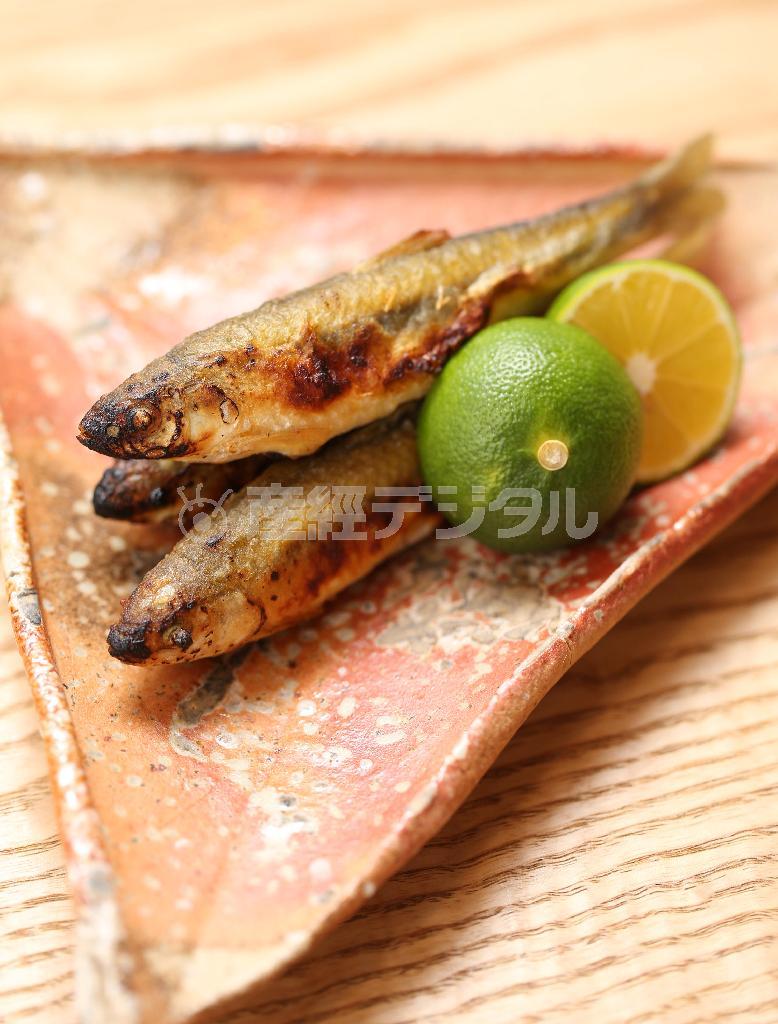 香ばしく炭火で焼き上げた寒モロコ