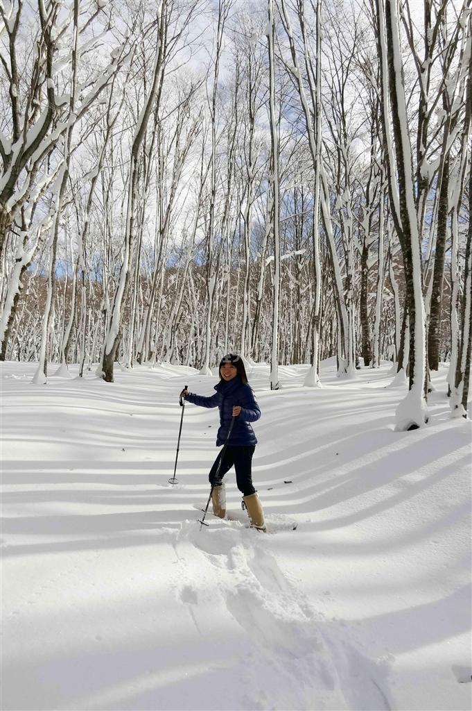 休暇村・乳頭温泉郷の周辺で楽しめるスノーシュー。問い合わせは休暇村の予約デスクまで＝２０１３年１２月１９日、秋田県仙北市（今泉有美子撮影）