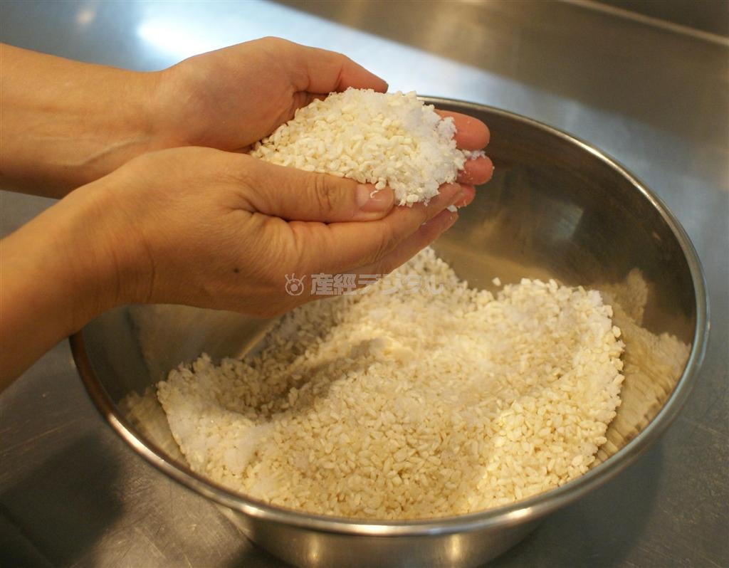 ＜みそ作りに挑戦＞＿＿（工程３）こうじは柔らかく手でほぐし、塩とあわせる。むらがなくなるまでよく混ぜる（塩塚夢撮影）