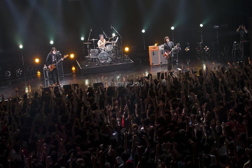 アーティストのＴＲＩＣＥＲＡＴＯＰＳ（トライセラトップス）＝２０１２年１１月３０日（山本倫子さん撮影、提供写真）