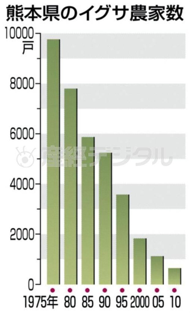 熊本県のイグサ農家数（１９７５年～２０１０年）